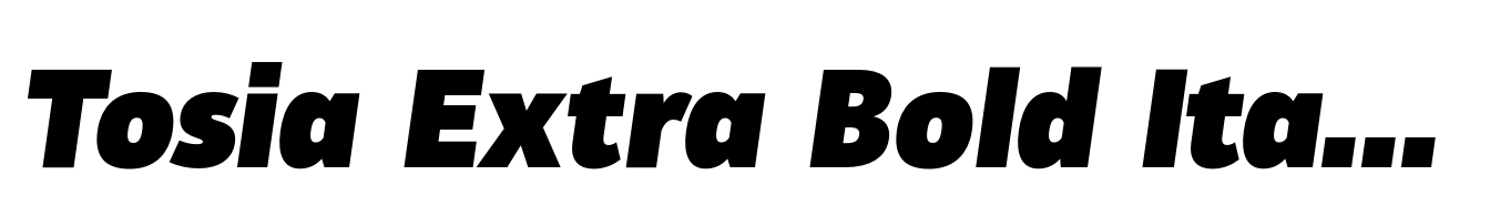 Tosia Extra Bold Italic